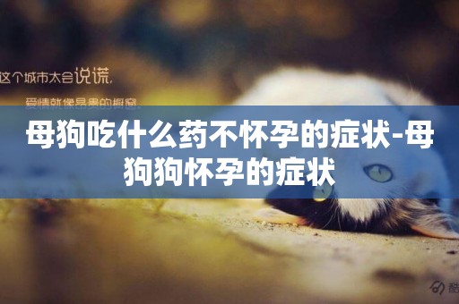 母狗吃什么藥不懷孕的癥狀-母狗狗懷孕的癥狀