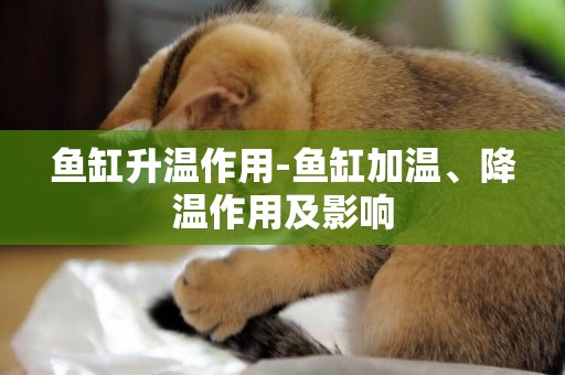 魚缸升溫作用-魚缸加溫、降溫作用及影響