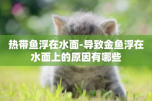 熱帶魚浮在水面-導致金魚浮在水面上的原因有哪些