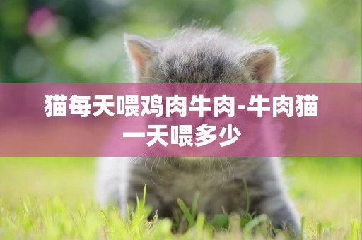 貓每天喂雞肉牛肉-牛肉貓一天喂多少