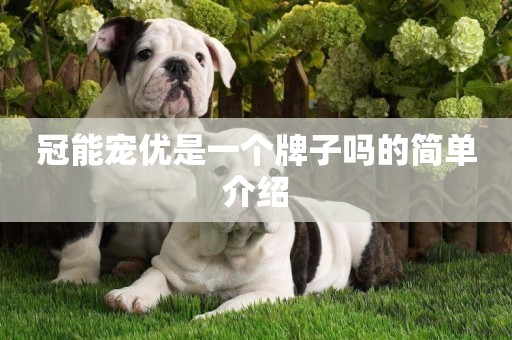 冠能寵優是一個牌子嗎的簡單介紹