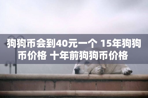 狗狗幣會到40元一個 15年狗狗幣價格 十年前狗狗幣價格 