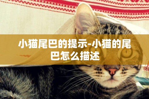 小貓尾巴的提示-小貓的尾巴怎么描述