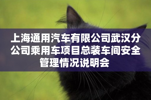 上海通用汽車有限公司武漢分公司乘用車項目總裝車間安全管理情況說明會 