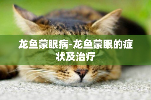 龍魚蒙眼病-龍魚蒙眼的癥狀及治療