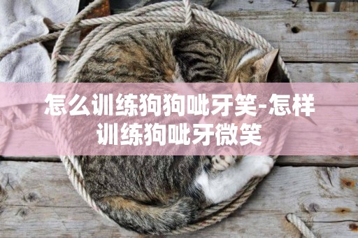 怎么訓練狗狗呲牙笑-怎樣訓練狗呲牙微笑