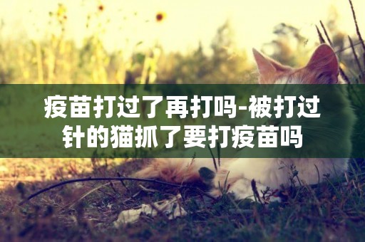 疫苗打過了再打嗎-被打過針的貓抓了要打疫苗嗎