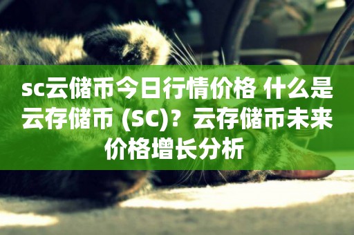 sc云儲幣今日行情價格 什么是云存儲幣 (SC)？云存儲幣未來價格增長分析 