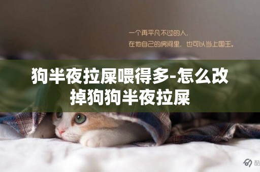狗半夜拉屎喂得多-怎么改掉狗狗半夜拉屎