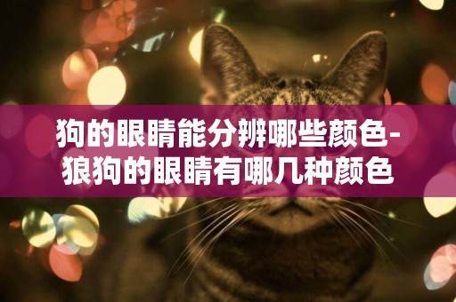 狗的眼睛能分辨哪些顏色-狼狗的眼睛有哪幾種顏色