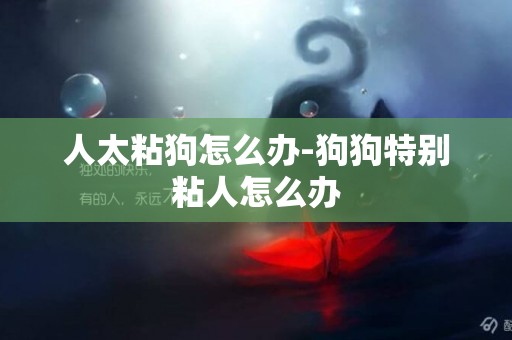 人太粘狗怎么辦-狗狗特別粘人怎么辦