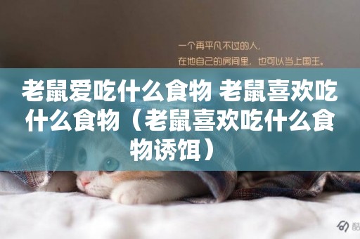 老鼠愛吃什么食物 老鼠喜歡吃什么食物（老鼠喜歡吃什么食物誘餌） 