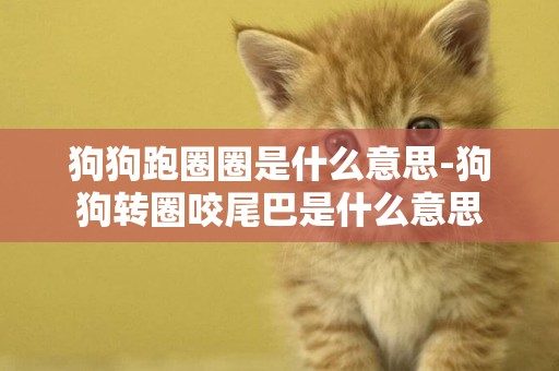 狗狗跑圈圈是什么意思-狗狗轉圈咬尾巴是什么意思