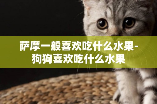 薩摩一般喜歡吃什么水果-狗狗喜歡吃什么水果