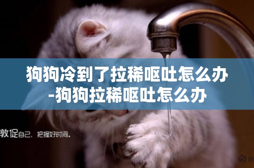 狗狗冷到了拉稀嘔吐怎么辦-狗狗拉稀嘔吐怎么辦