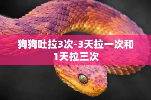 狗狗吐拉3次-3天拉一次和1天拉三次