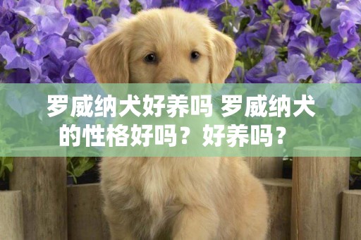 羅威納犬好養嗎 羅威納犬的性格好嗎？好養嗎？ 