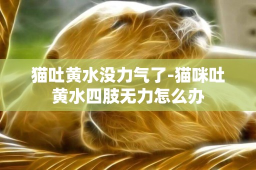 貓吐黃水沒力氣了-貓咪吐黃水四肢無力怎么辦