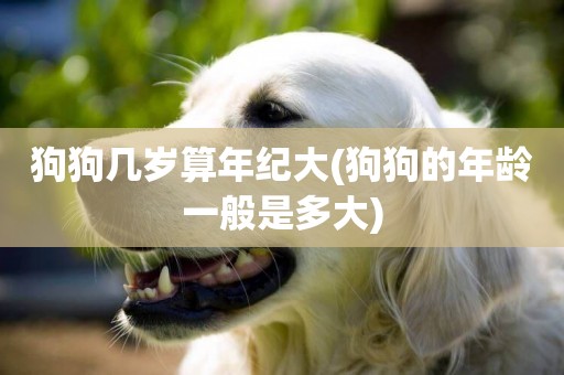 狗狗幾歲算年紀大(狗狗的年齡一般是多大)