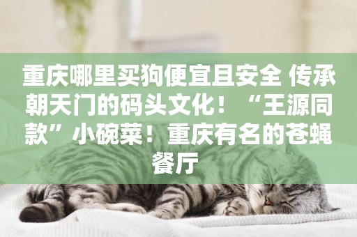 重慶哪里買狗便宜且安全 傳承朝天門的碼頭文化！“王源同款”小碗菜！重慶有名的蒼蠅餐廳 