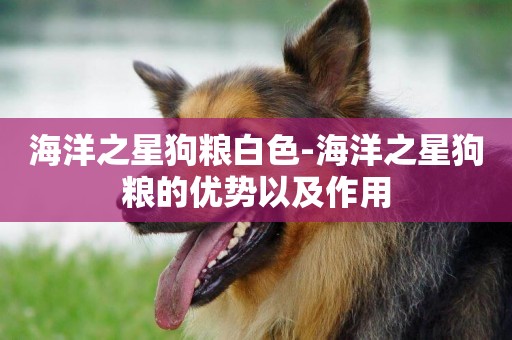 海洋之星狗糧白色-海洋之星狗糧的優勢以及作用
