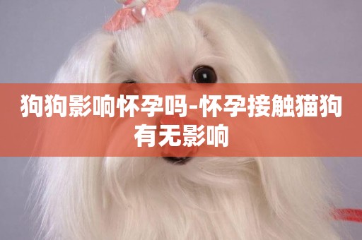 狗狗影響懷孕嗎-懷孕接觸貓狗有無影響