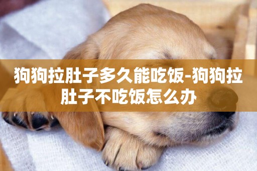 狗狗拉肚子多久能吃飯-狗狗拉肚子不吃飯怎么辦