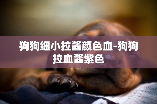 狗狗細小拉醬顏色血-狗狗拉血醬紫色