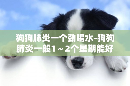 狗狗肺炎一個勁喝水-狗狗肺炎一般1～2個星期能好