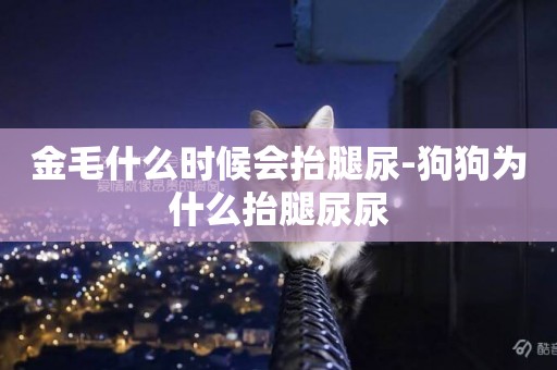 金毛什么時候會抬腿尿-狗狗為什么抬腿尿尿