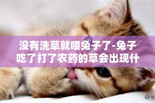 沒有洗草就喂兔子了-兔子吃了打了農藥的草會出現什么癥狀