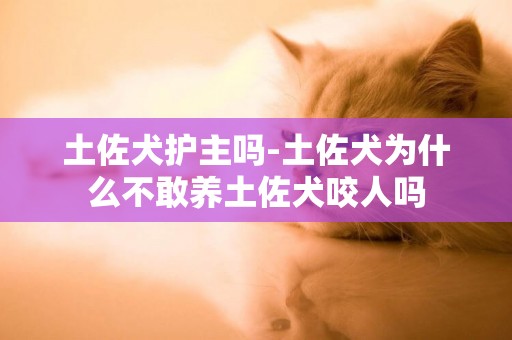 土佐犬護主嗎-土佐犬為什么不敢養土佐犬咬人嗎