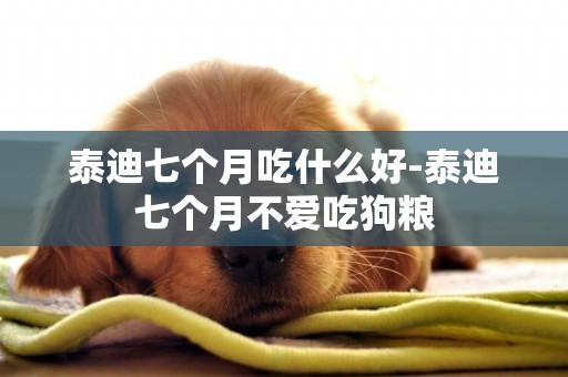 泰迪七個月吃什么好-泰迪七個月不愛吃狗糧