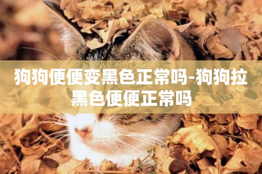 狗狗便便變黑色正常嗎-狗狗拉黑色便便正常嗎