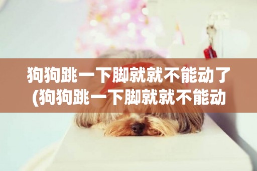 狗狗跳一下腳就就不能動了(狗狗跳一下腳就就不能動了為什么)