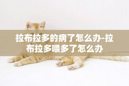 拉布拉多的病了怎么辦-拉布拉多喂多了怎么辦