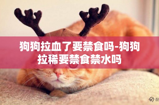 狗狗拉血了要禁食嗎-狗狗拉稀要禁食禁水嗎