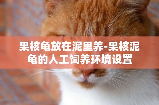 果核龜放在泥里養-果核泥龜的人工飼養環境設置