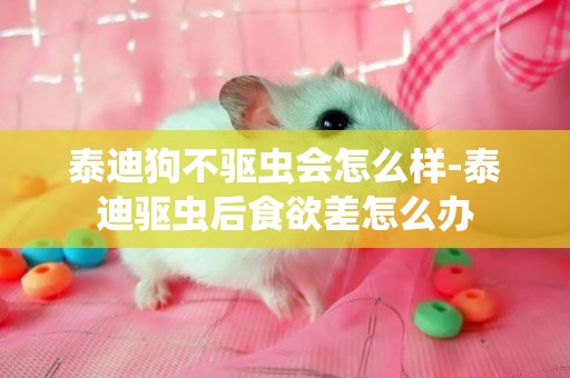 泰迪狗不驅蟲會怎么樣-泰迪驅蟲后食欲差怎么辦