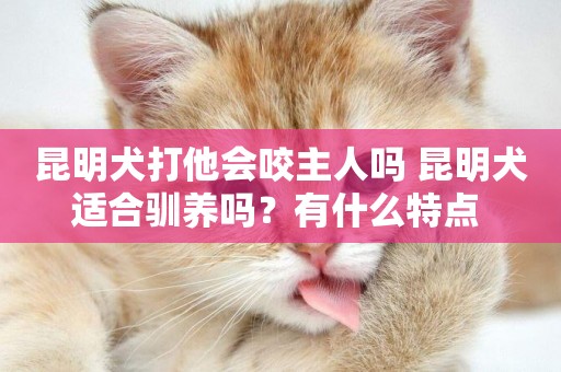 昆明犬打他會咬主人嗎 昆明犬適合馴養嗎？有什么特點 