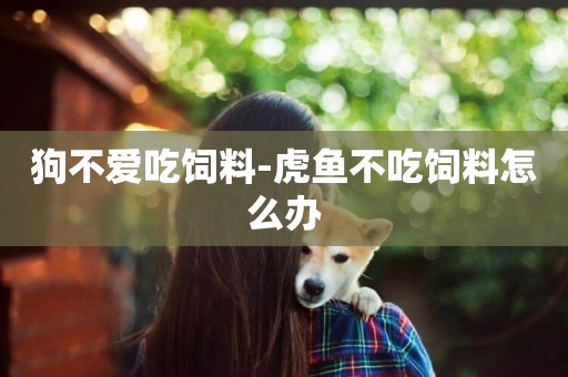 狗不愛吃飼料-虎魚不吃飼料怎么辦