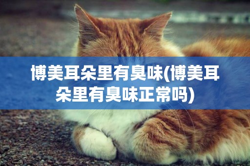 博美耳朵里有臭味(博美耳朵里有臭味正常嗎)