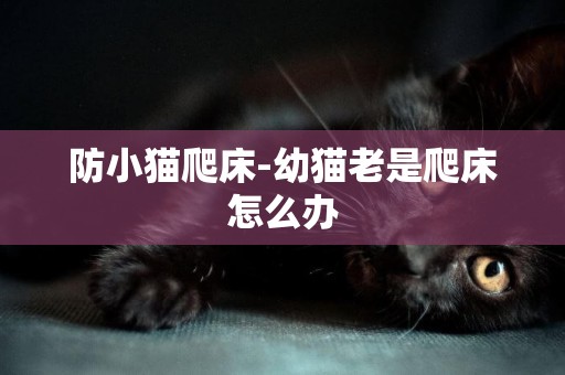 防小貓爬床-幼貓老是爬床怎么辦