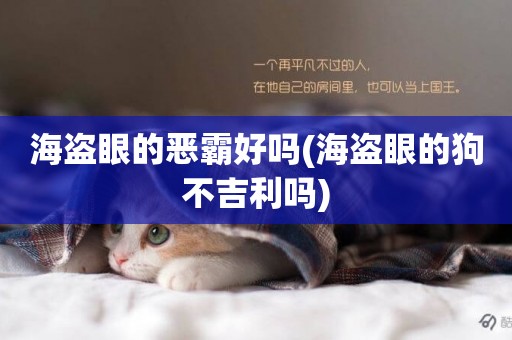海盜眼的惡霸好嗎(海盜眼的狗不吉利嗎)