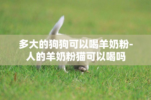 多大的狗狗可以喝羊奶粉-人的羊奶粉貓可以喝嗎