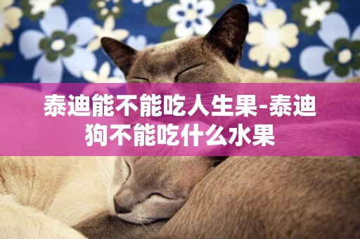 泰迪能不能吃人生果-泰迪狗不能吃什么水果