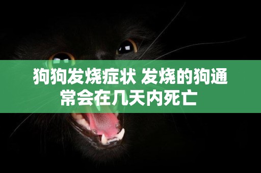 狗狗發燒癥狀 發燒的狗通常會在幾天內死亡 