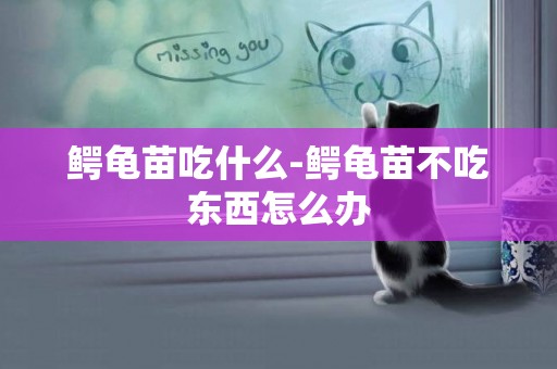 鱷龜苗吃什么-鱷龜苗不吃東西怎么辦