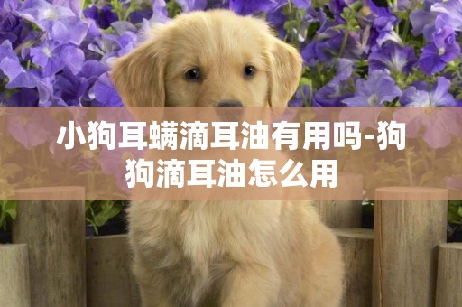 小狗耳螨滴耳油有用嗎-狗狗滴耳油怎么用