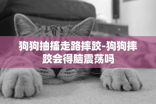 狗狗抽搐走路摔跤-狗狗摔跤會得腦震蕩嗎
